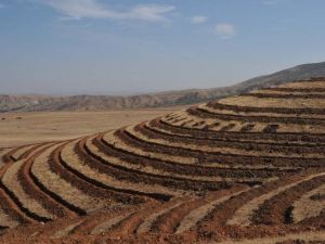 Erozyonu Önlemek İçin 150 Bin Fidan Dikilecek