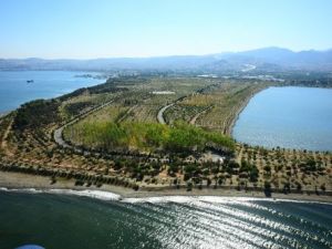 Çöplük, Binlerce Ağacın Boy Verdiği Kent Ormanına Dönüştü