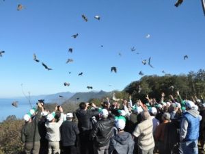 Artvin'de 150 Atmaca Tabiat  ile Buluştu