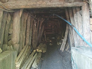 Madenlere üniversite eli değecek