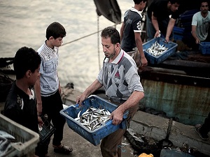 Gazze'den Batı Şeria'ya deniz ürünleri girişine izin verildi