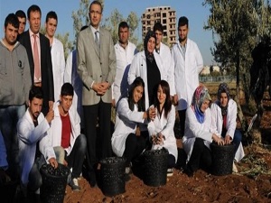 Üniversiteliler Zeytin hasatında