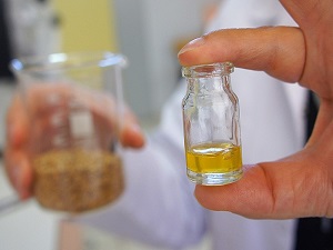 Omega-3 sigarayı bırakmaya yardımcı olabilir