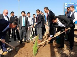 Şırnak'ta Havalimanına 7 Bin Fidan Dikildi
