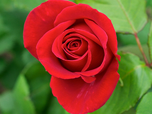 Sıkıntı zamanlarında bunları yapmak günahları tamamen yıkar