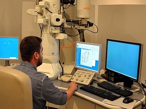 Teknoloji pazarı büyümeye devam ediyor