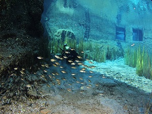 Sakarya Nehri'nin kaynağını görüntülediler