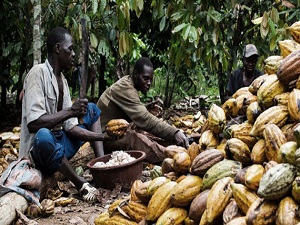 Dünyada hâlâ 36 milyon köle var