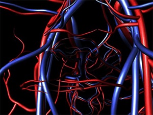 Tehlikeli hastalıkların gizli nedeni ‘damar sertliği’