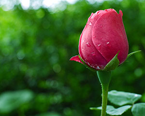 Şaşırtıcı derecede büyük iftira nedir biliyor musunuz?