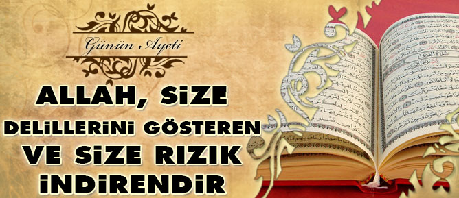 Allah, size delillerini gösteren ve size rızık indirendir
