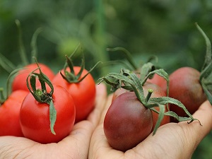 Ruslar istedi Türk mühendis ıslah etti