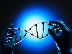 İslam'ın bilim anlayışı Avrupa'da hâlâ hakim