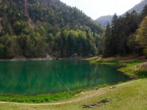 Sülüklü Göl'de 38 Endemik Bitki Bulundu