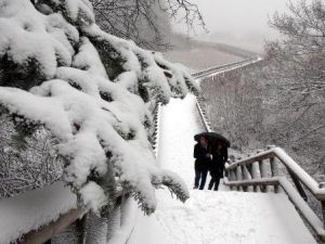 Abant'a Mevsimin İlk Karı Yağdı