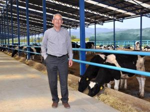 Canlı Hayvan İhracatında 5 Yılın Rekoru