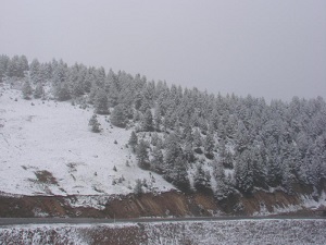 Doğu Anadolu'da kar köylere ulaşımı kesti