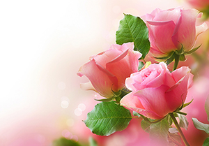 Allah'ın en çok sevdiği kulu...