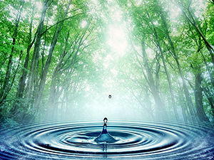 Fırsat Yerine Fıtrat