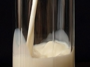 Sütün reçelini yapacaklar