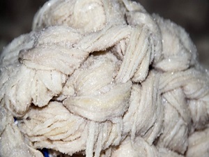 Avrupa ülkeleri bağırsak için sıraya girdi