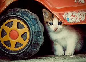 Önce kaportana vur, sonra bir dakika dur