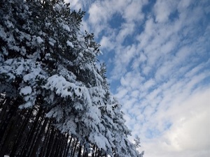 Doğu Anadolu buz kesti