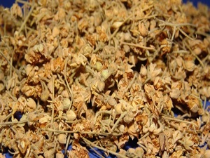 Ihlamur fiyatı uçtu