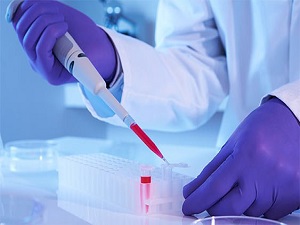 Kök hücreden atan kalp dokusu elde edildi