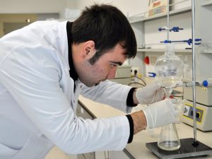 Fındık Kabuğunda Kanser İlacı Maddesi