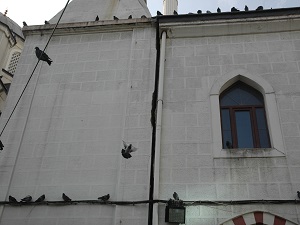 Vatandaş korkuyla namaz kılıyor