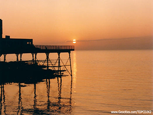 İnsanda Saika-Şaika Latifelerinin Kullanımı ve Dowsing Sendromu