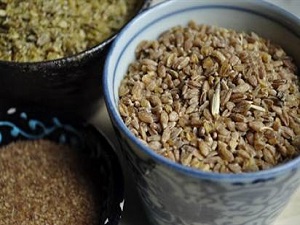 Siyez Buğdayı Antioksidan Özelliğiyle Hücre Yapısını Koruyor