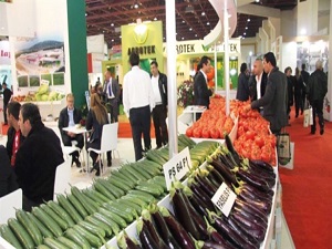 ‘Su’dan hasat dönemi