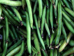 Baklada sevindiren haber