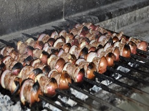 Soğan kebabı gribe bire bir!