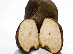 Dev mantara 61 bin dolar