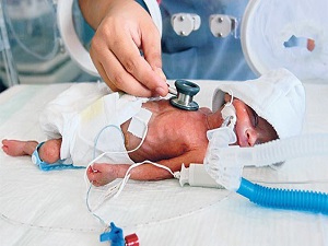 Erken doğan bebekler, anne kucağında hayata tutunuyor