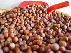 Fındık kabuğu kanser hastalarına şifa olacak