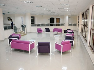 Hastane yöneticisine karne