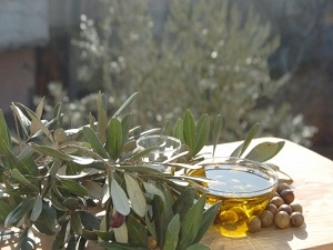 Zeytin yağa gönderildi sofralığa zam geldi