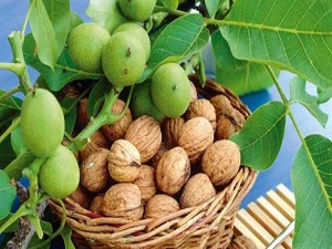 Ceviz yüzde 100 zamlandı