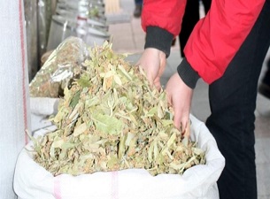 Ihlamurun fiyatı 150 TL'ye yükseldi