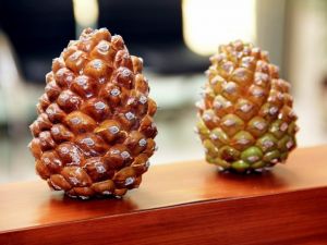 Yırtıcı Böcekle Mücadele Başlatıldı