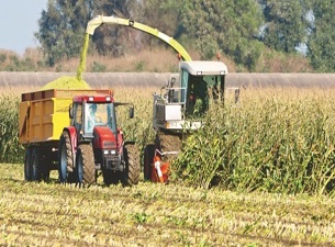 Çiftçiye 1 milyar lira destek ödemesi