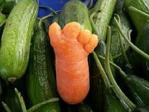 Şaşırtan Sebzeler