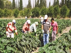 Uzay teknolojisini 'GAP’tı