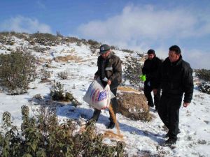 Yaban Hayvanlarına 515 Ton Yem ve Yiyecek Bırakılacak