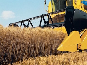 Türkiye Rusya'nın buğday kaynağı