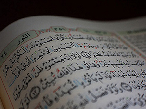 Kulak, göz ve deri onların aleyhine şâhitlik eder